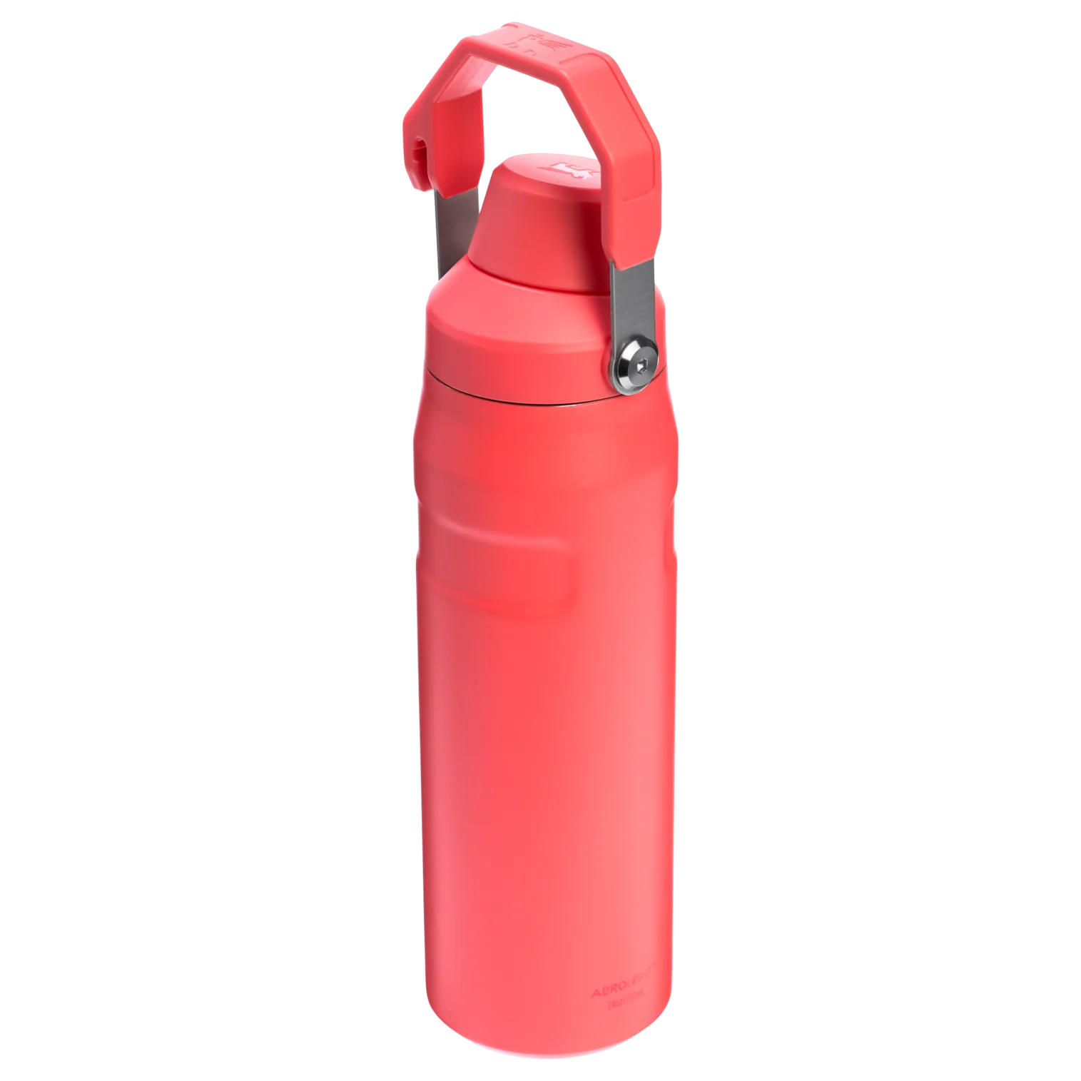 IceFlow™ Bottle Fast Flow | 0.71L - Image 52